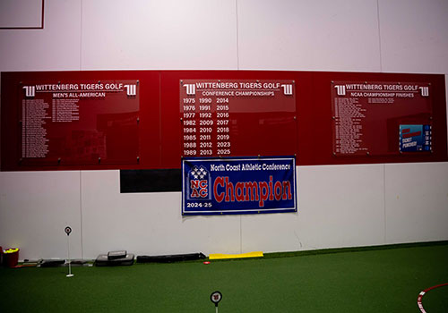 Golf Practice Room